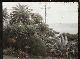 Image représentant Cap Martin Le Jardin