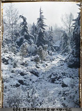 Image représentant Espace arboré du " sanctuaire japonais " sous la neige avec une allée menant au " village japonais "