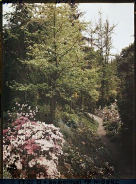 Image représentant Massif fleuri au bord d'un chemin du " jardin chinois " menant au sorinto du " sanctuaire japonais "