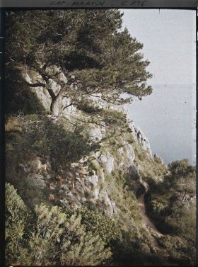 Image représentant Cap-Martin - Le Jardin