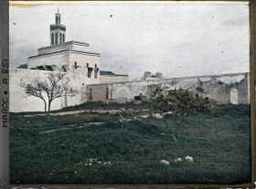 Image représentant Dar el Makhzen (Palais al Makhzen)