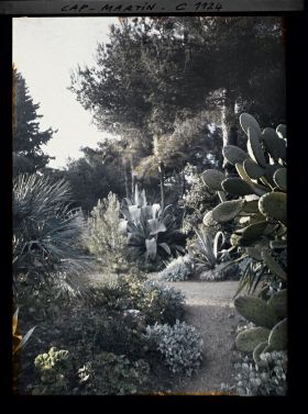 Image représentant le Jardin