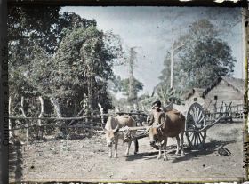 Image représentant Unn jeune garçon conduisant un attelage, dans un village