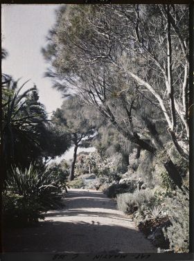 Image représentant Une allée du jardin