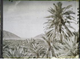 Image représentant Vue de l'oasis et du col de Zenaga