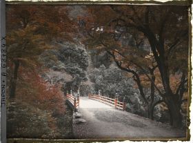 Image représentant érables et pont sur la rivière Kiyotaki-gawa