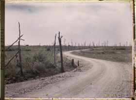 Image représentant France, Bois de Tavanne, Bois de Tavanne