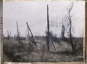 Image représentant France, Nauroy, Vestiges de Camouflage de la route entre Beine et Nauroy