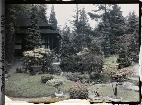 Image représentant Bonsaïs et rivière sèche au coeur du " village japonais ", aux abords de la maison ouest