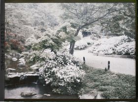Image représentant Le parc Maruyama (Maruyama kôen)