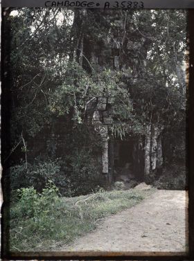 Image représentant Une porte envahie par la végétation