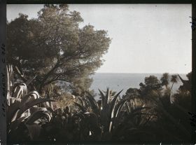 Image représentant le jardin vue vers la mer