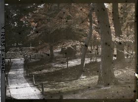 Image représentant Jardin Kôrakuen