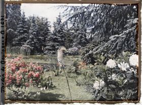 Image représentant Ensemble fleuri près des " étangs ", en bordure est du marais vu en direction du nord