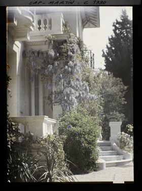 Image représentant Villa Miramar. Le perron avec la glycine