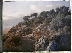 Image représentant Cap Martin, effet du matin