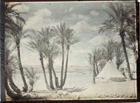 Image représentant Une tente du campement des forces arabes du royaume du Hedjaz dans une palmeraie au bord du golfe d'Aqaba