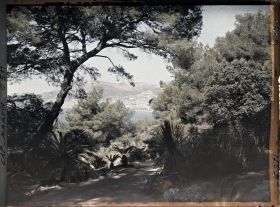 Image représentant Jardin de Miramar