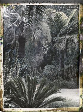 Image représentant Un coin du jardin d'Essais