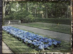Image représentant Fragment de parterre au sud-est du jardin français