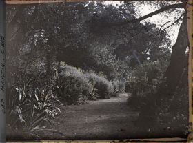 Image représentant Une allée du jardin