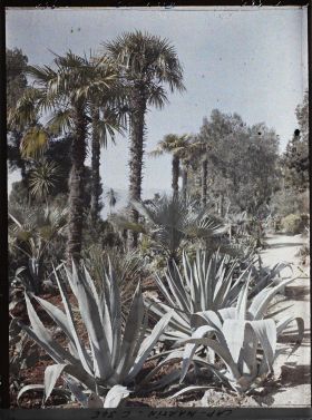 Image représentant Une allée du jardin