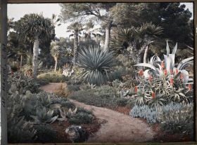 Image représentant Cap Martin - Le Jardin