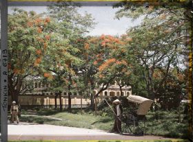 Image représentant Un pousse-pousse sous les flamboyants bordant l'avenue Général Bichot