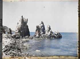 Image représentant Les aiguilles sur le rivage