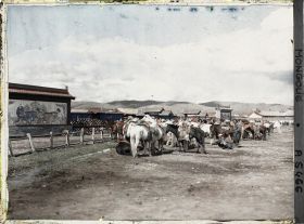 Image représentant Chevaux attachés près d'un palais ou d'un bâtiment officiel