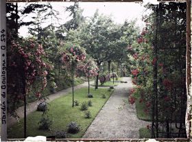 Image représentant Parterres fleuris sur l'allée du verger-roseraie longeant le jardin japonais en direction de l'ouest
