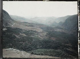 Image représentant Le fond de la vallée de Pleistos et les forêts d'oliviers