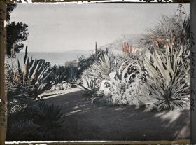 Image représentant Le Jardin (matin, vers Monaco)