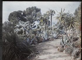 Image représentant Une allée du jardin