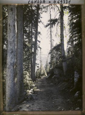 Image représentant Canada, Lac Louise, Sentier en montagne