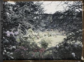Image représentant Arbres et arbustes en fleurs bordant la pelouse située au sud-est du marais, vus en direction du nord
