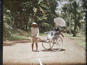 Image représentant Jeune femme dans un pousse-pousse à roues caoutchoutées, dans le jardin botanique