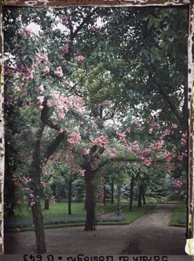 Image représentant Rond-point du verger-roseraie proche de la dépendance, sur une allée menant à la forêt bleue