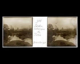 Image représentant Le jardin botanique de l'Université impériale de Tokyo