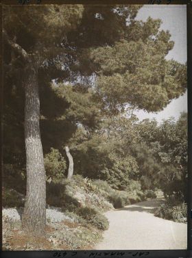 Image représentant Une allée du jardin