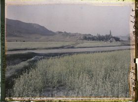 Image représentant Culture du colza