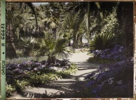 Image représentant L'Achilleion - Les Jardins