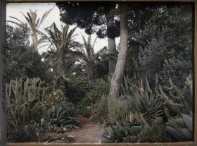 Image représentant Cap-Martin - Le Jardin