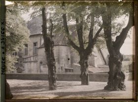 Image représentant France, Bar-le-Duc, Les tillleuls de la promenade de Paquis
