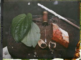 Image représentant Les éléments nécessaires à la mastication du bétel