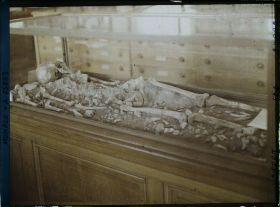 Image représentant Squelette de femme âgée, taille 1m55. Quaternaire Supérieur, Grotte des enfants