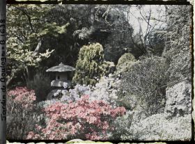 Image représentant Lanterne du " sanctuaire japonais " blottie dans un massif fleuri proche du verger-roseraie