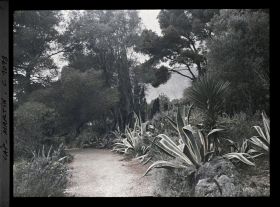 Image représentant le jardin