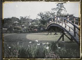 Image représentant Jardin d'iris de Horikiri