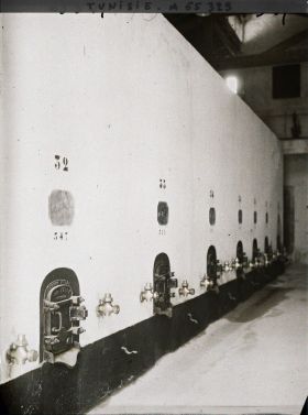 Image représentant Les caves de l'une des fermes appartenant à la Société des Fermes françaises